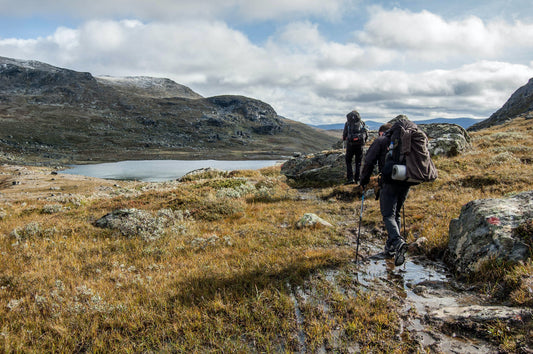 4 things you should know before going out in nature
