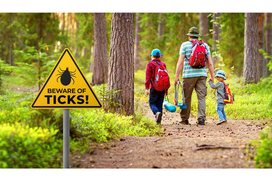 Climate change results in faster spread of Lyme disease