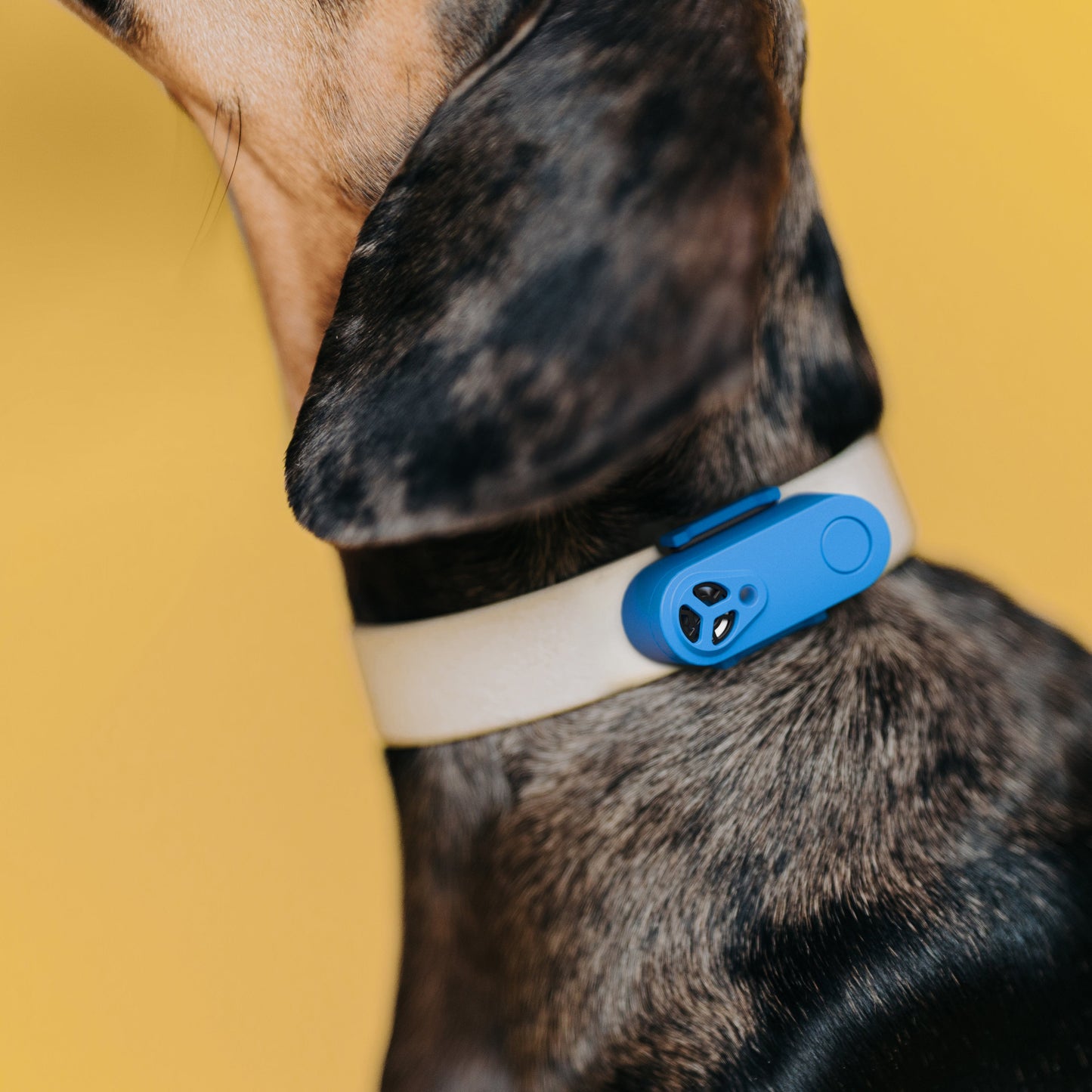 TicklessUSA ultrasonic tick and flea device New** TICKLESS® Mini Chemical-free tick and flea device, rechargeable sonicguard SonicGuard sonicguardusa SonicGuardUSA tick repeller ultrasonic Tickless TicklessUSA tick and flea repellent safe