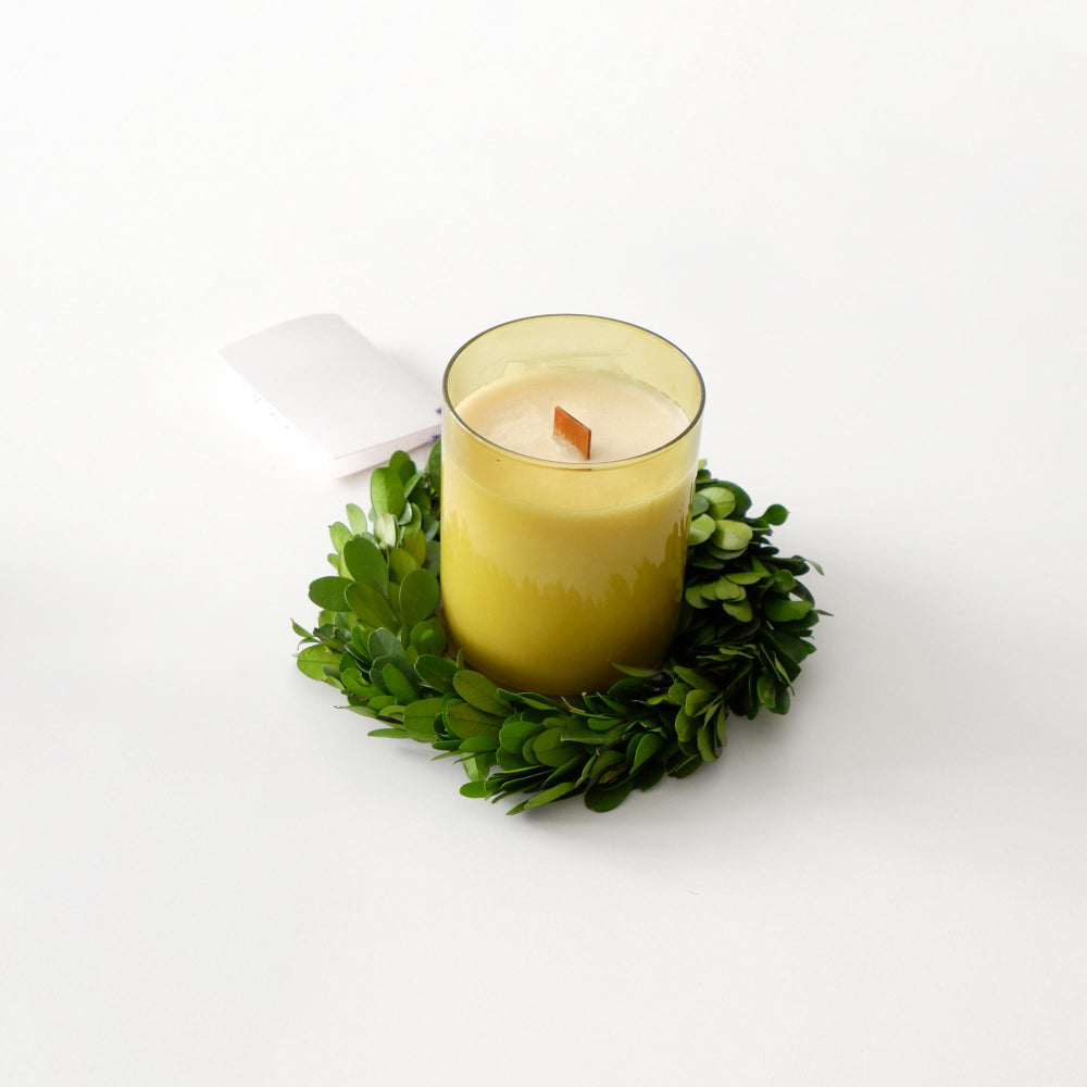 Is Citronella Effective Against Ticks? What Science Says