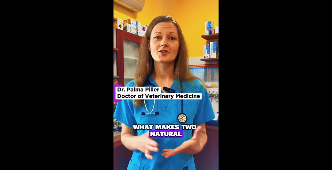 Why Formulation Matters as Much as the Ingredients