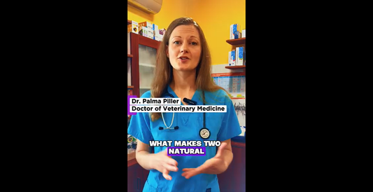 Why Formulation Matters as Much as the Ingredients