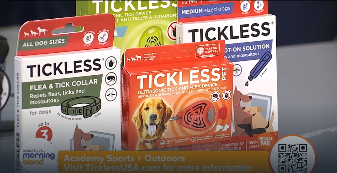 Tickless Featured on Tampa Bay Morning Blend's "Summer Must-Haves" Segment