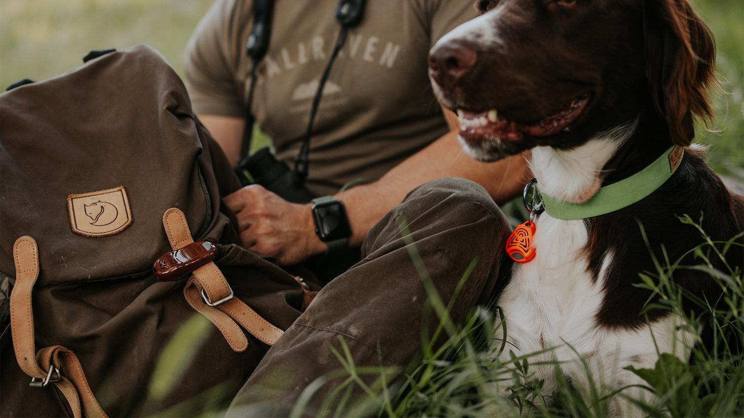 Try Tickless with the best Julius-K9 IDC Powerharnesses in the