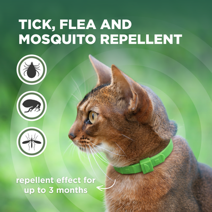 TicklessUSA Tickless Cat Care Combo sonicguard SonicGuard sonicguardusa SonicGuardUSA tick repeller ultrasonic Tickless TicklessUSA tick and flea repellent safe
