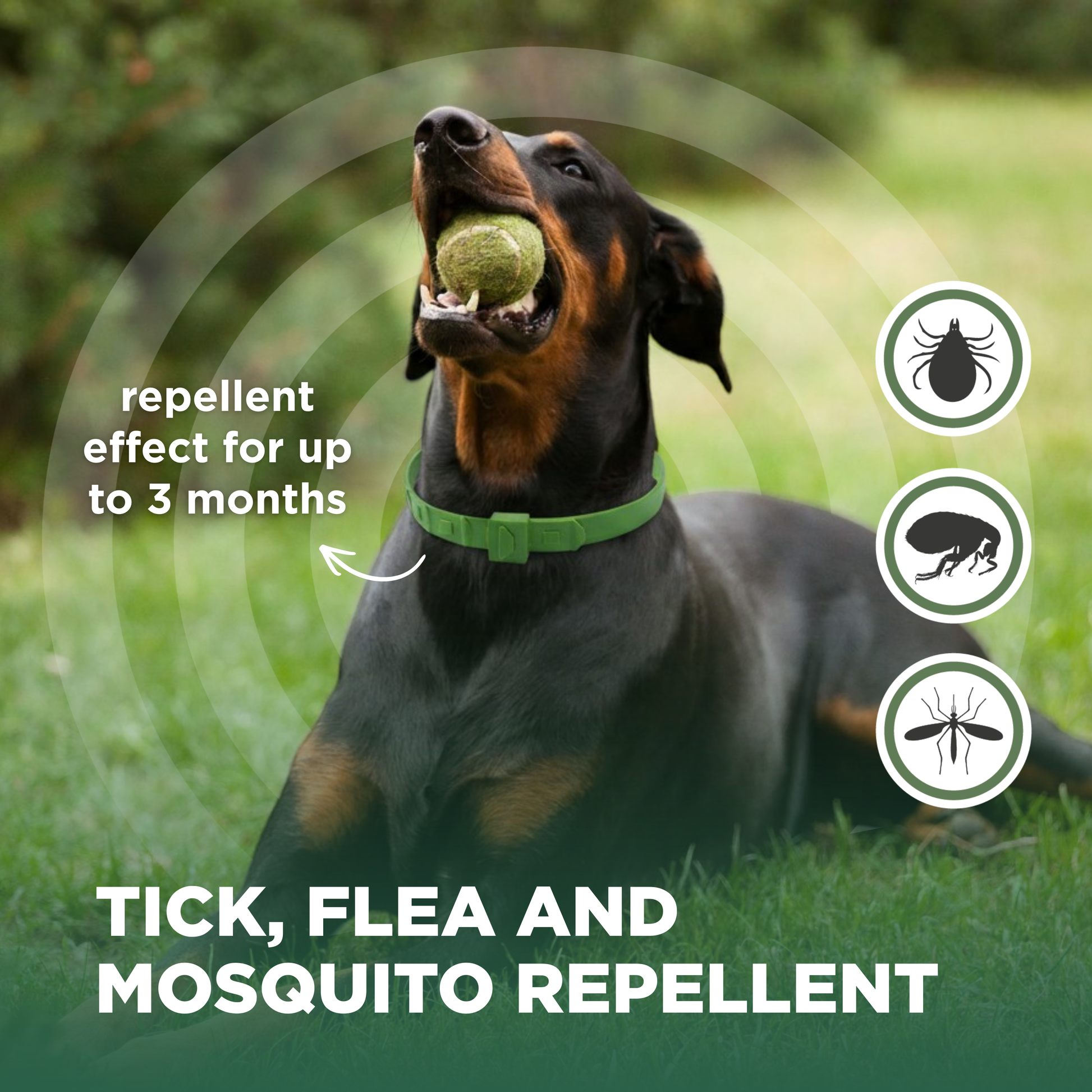 TicklessUSA Tickless Complete Care Combo – Big Paws (L) sonicguard SonicGuard sonicguardusa SonicGuardUSA tick repeller ultrasonic Tickless TicklessUSA tick and flea repellent safe