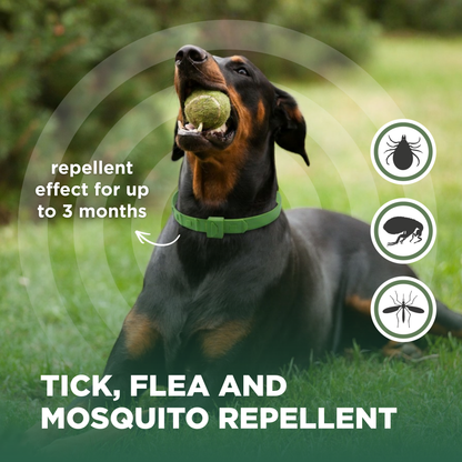TicklessUSA Tickless Complete Care Combo – Big Paws (L) sonicguard SonicGuard sonicguardusa SonicGuardUSA tick repeller ultrasonic Tickless TicklessUSA tick and flea repellent safe