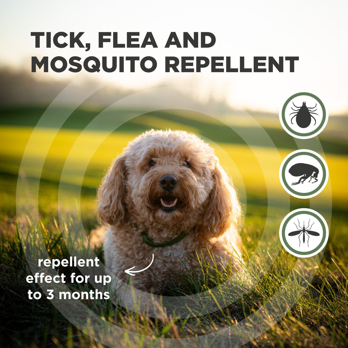 TicklessUSA Tickless Complete Care Combo – Mid-size Paws (M) sonicguard SonicGuard sonicguardusa SonicGuardUSA tick repeller ultrasonic Tickless TicklessUSA tick and flea repellent safe