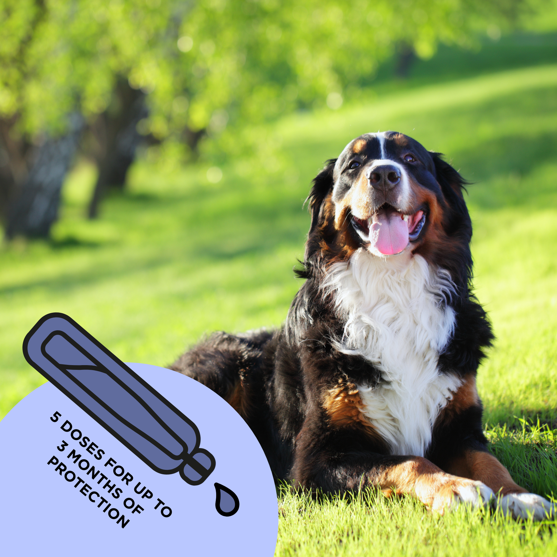 TicklessUSA Tickless Natural Topical Spot-on Solution for dogs (L size) sonicguard SonicGuard sonicguardusa SonicGuardUSA tick repeller ultrasonic Tickless TicklessUSA tick and flea repellent safe