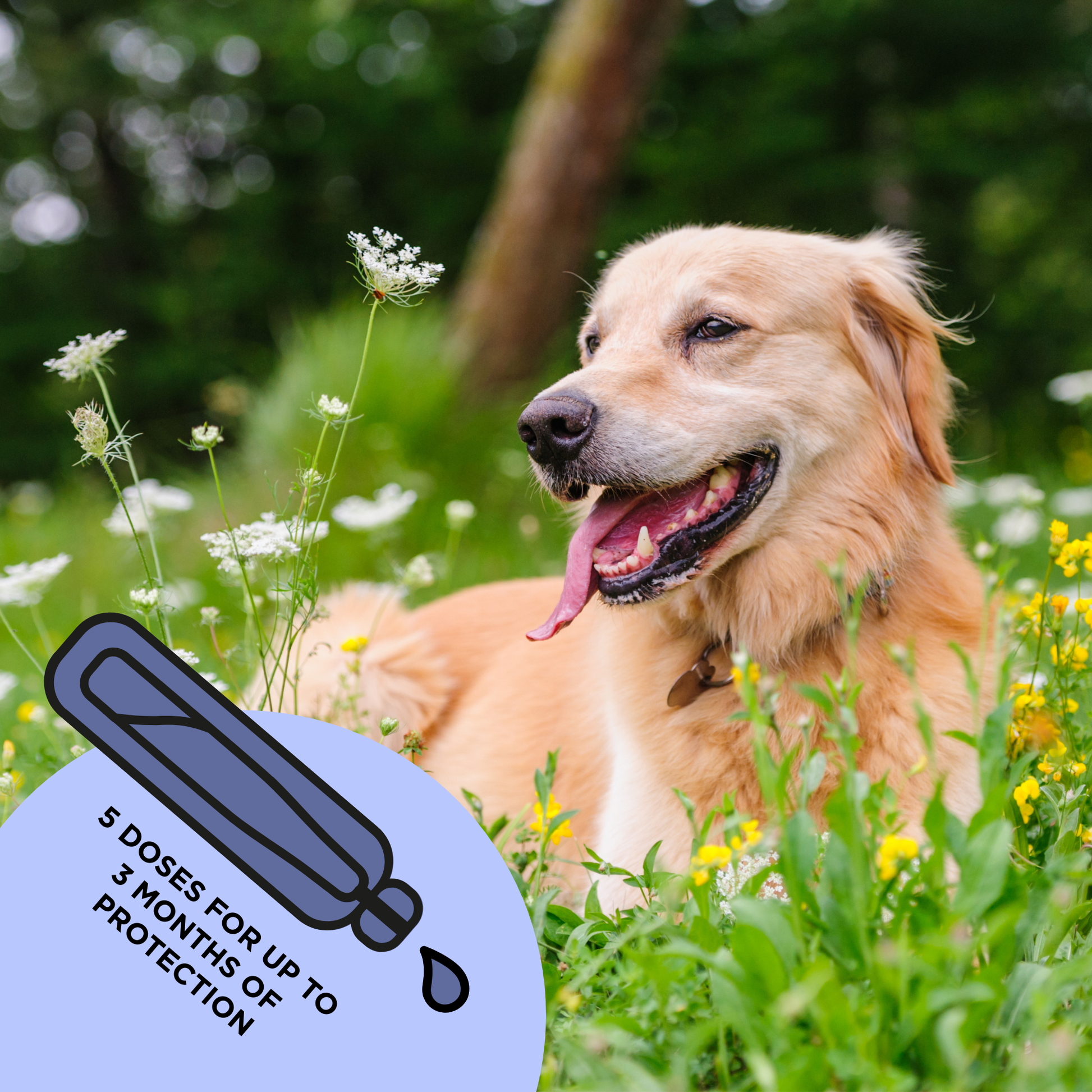 TicklessUSA Tickless Natural Topical Spot-on Solution for dogs (M size) sonicguard SonicGuard sonicguardusa SonicGuardUSA tick repeller ultrasonic Tickless TicklessUSA tick and flea repellent safe