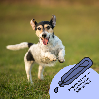 TicklessUSA Tickless Natural Topical Spot-on Solution for dogs (S size) sonicguard SonicGuard sonicguardusa SonicGuardUSA tick repeller ultrasonic Tickless TicklessUSA tick and flea repellent safe